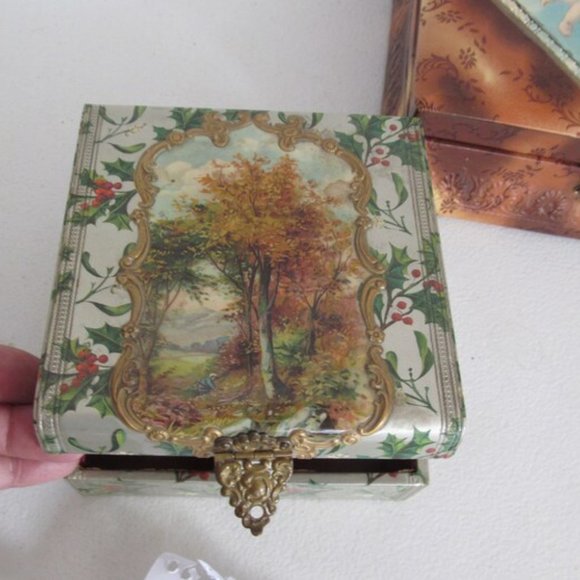 Victorian Celluloid Jewelry Box Silk Lined Vanity Box Jewelry Box White Birch - Picture 2 of 10